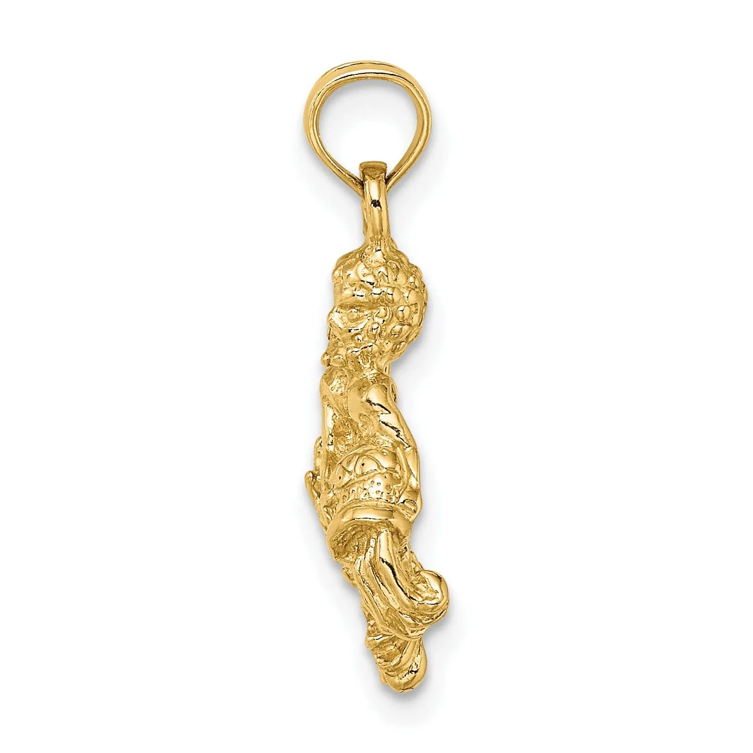 14k Yellow Gold Polished Texture Finish3-D Aquarius Zodiac Charm Pendant