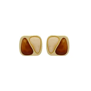 Brown Resin & 18K Gold-Plated Square Stud Earrings