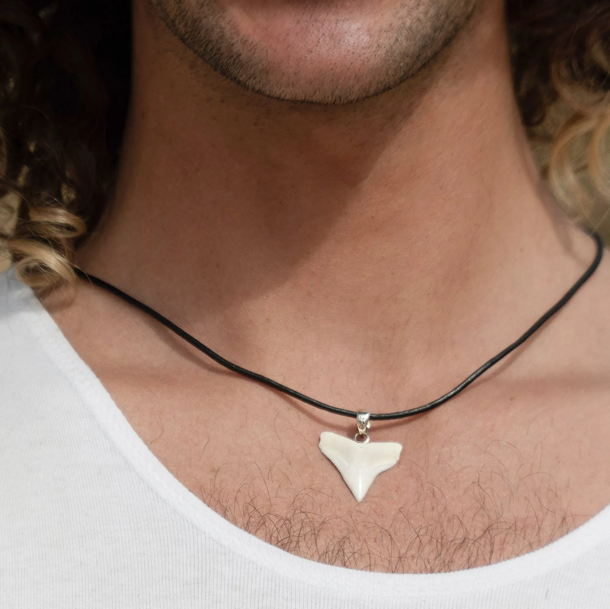 Bull Shark Tooth Silver s41