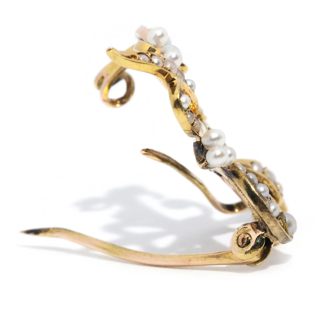 Camille Circa 1880s Antique Seed Pearl Brooch