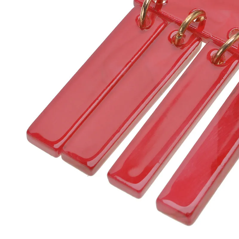Exaggerated Acrylic Plate Geometric Earrings