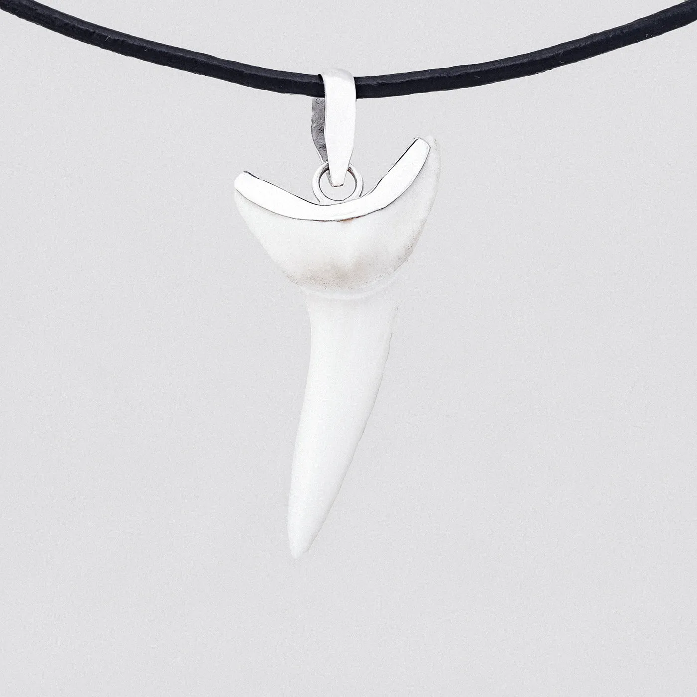 Rare Mako Shark Tooth Pendant s26