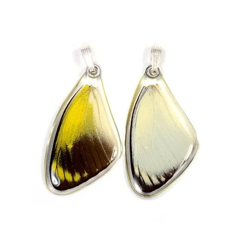 Real Butterfly Wing Pendant Only, Red Delias Butterfly, Top Wing