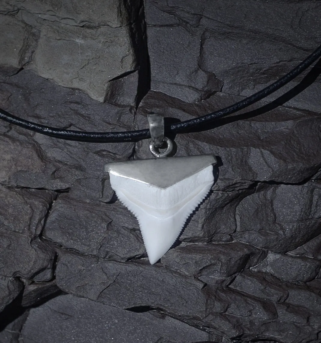 Shark Tooth Pendant s44
