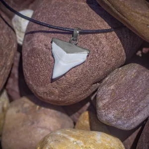 Shark Tooth Pendant s44
