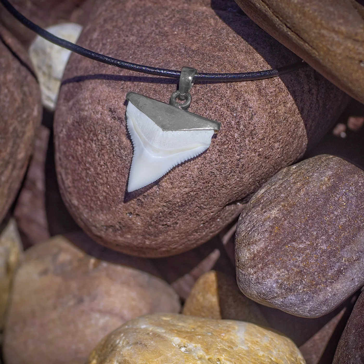 Shark Tooth Pendant s44