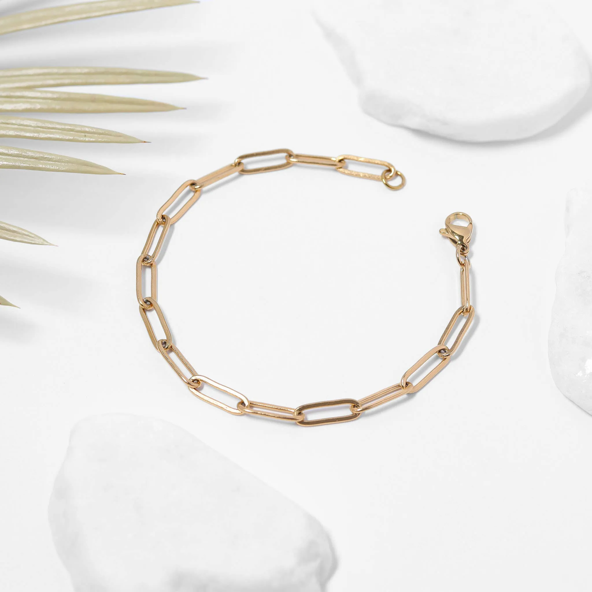 Taylor 18K Gold or Stainless PVD Paperclip Chain Bracelet