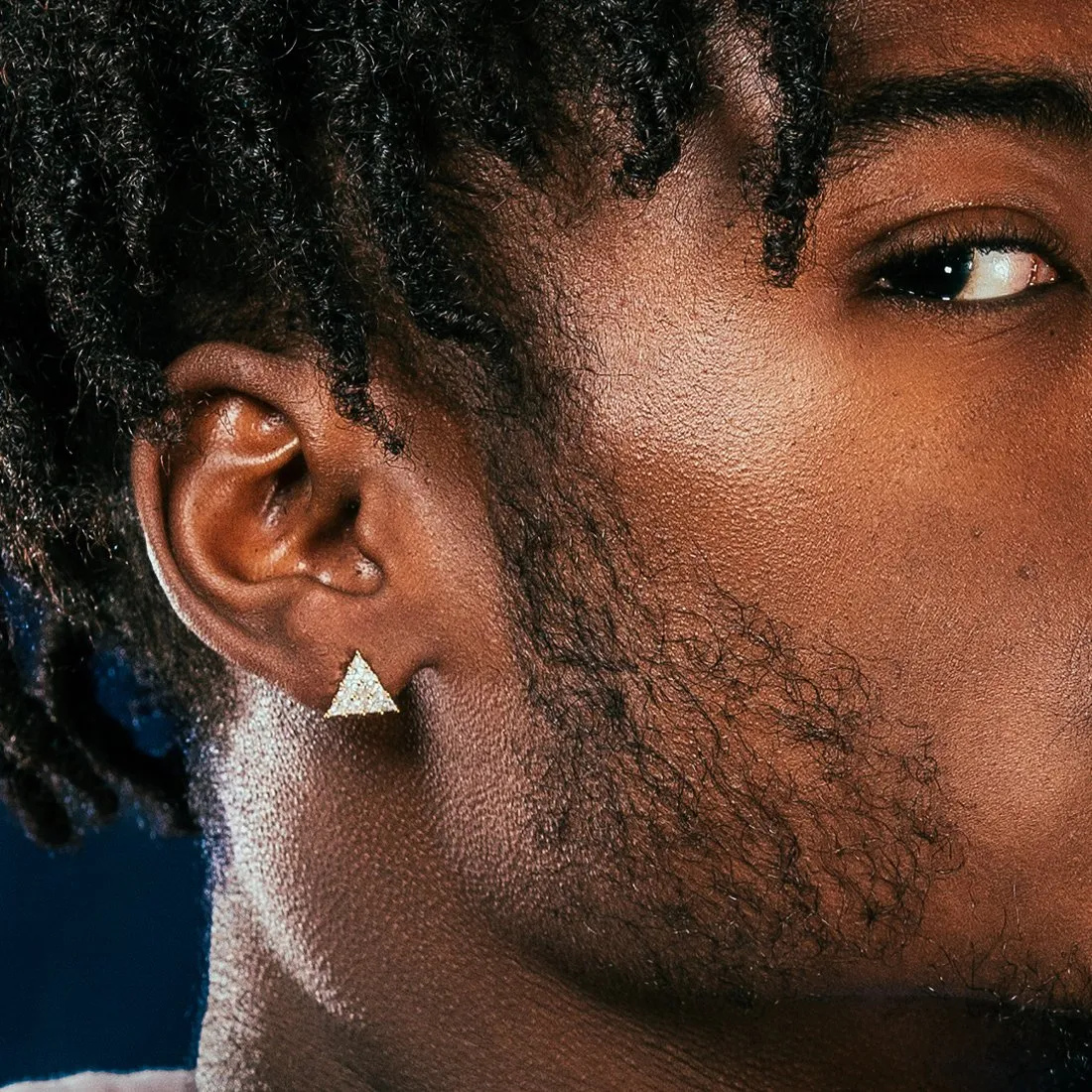 Trinus Earrings