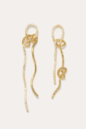 V038 Not even the mathematician can create things at will earrings